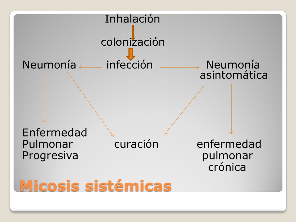 infecciones micóticas de los pulmones
